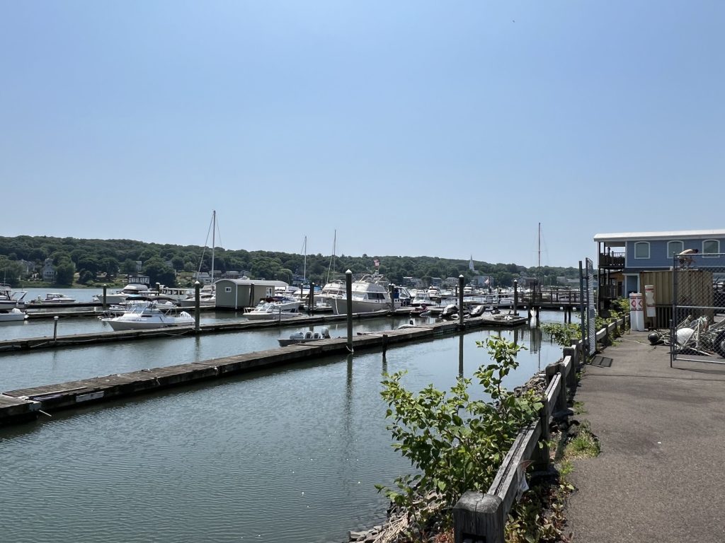 The Legacy of the Atlantic Oyster, The Pearl of New Haven